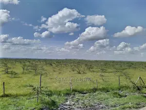 Tuala Rongai