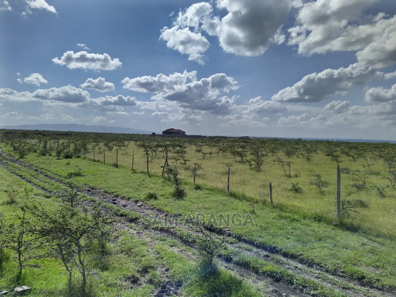 Tuala Rongai