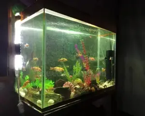 Aquarium,Custom Aquarium