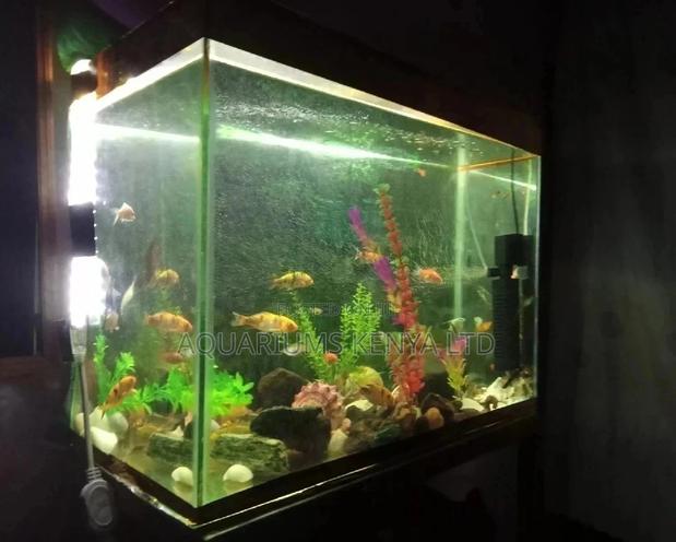 Aquarium,Custom Aquarium - main view