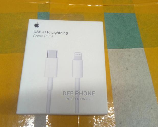 Apple Type C to Lightning Cable - main view