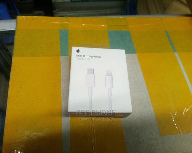 Apple Type C to Lightning Cable - thumbnail 2