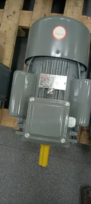 Copper Rewinded Electric Motors