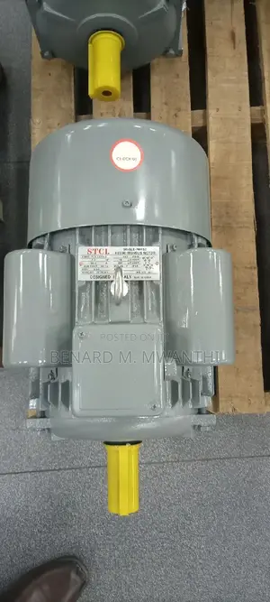 Copper Rewinded Electric Motors