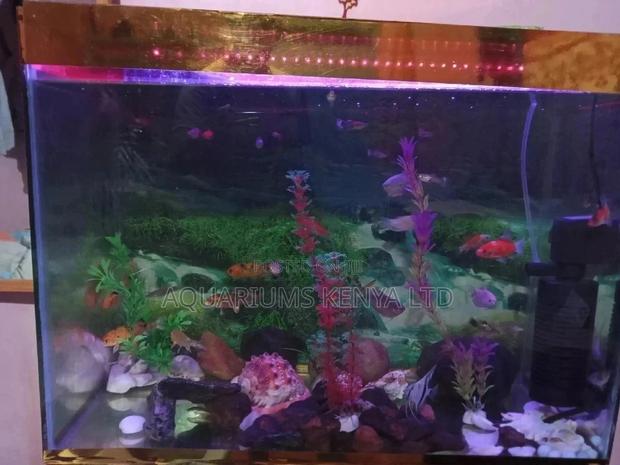 Aquarium Ornamental Fish Tank ~60L - main view