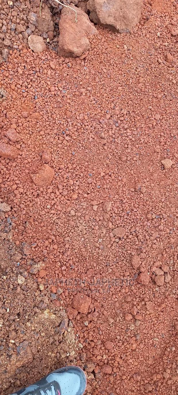 Red Marram - thumbnail 2