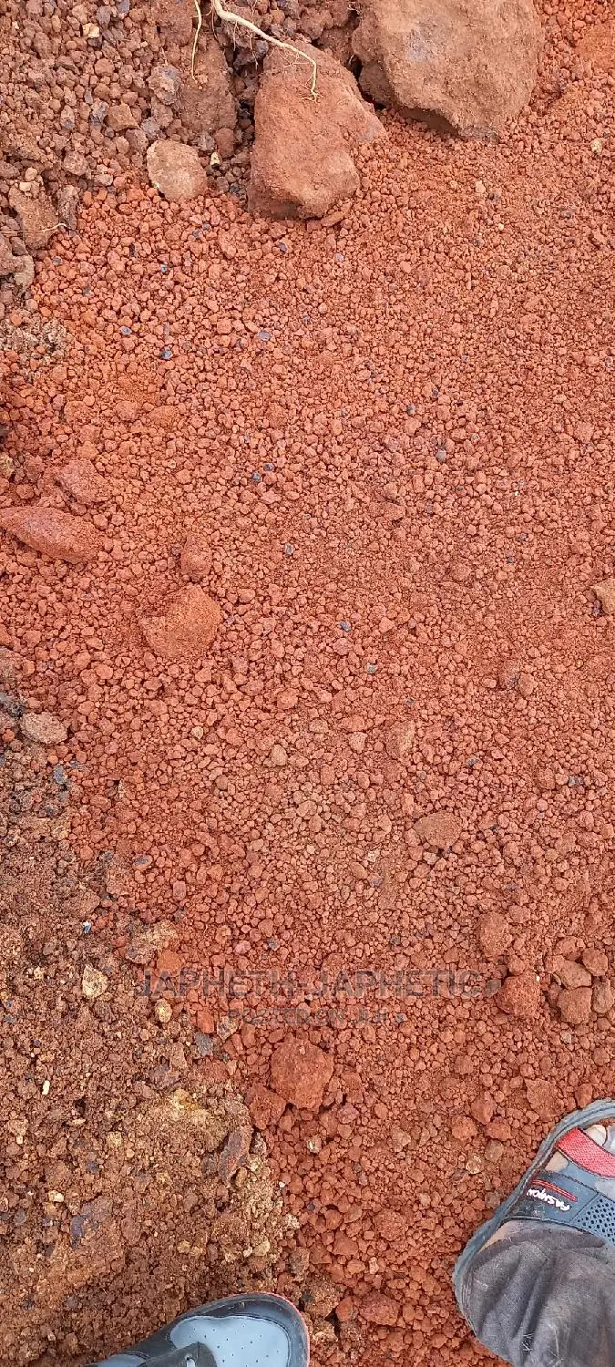 Red Marram