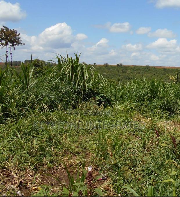 1/8 Acre Plot for Sale in Thika - thumbnail 2