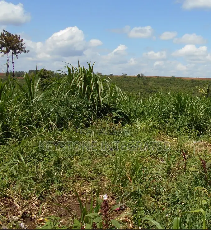 1/8 Acre Plot for Sale in Thika