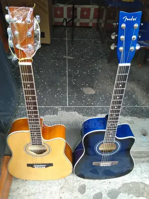 New USA Semi Acoustic Guitar