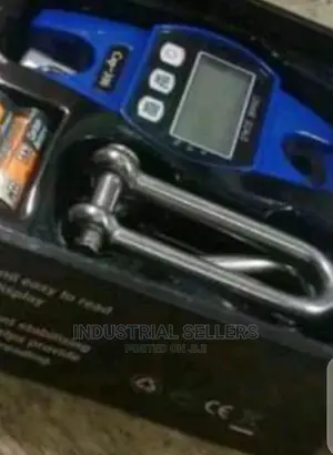 Stainless Steel 300kgs Hook Scale