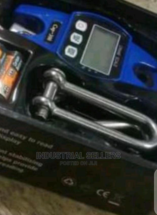 Stainless Steel 300kgs Hook Scale - main view