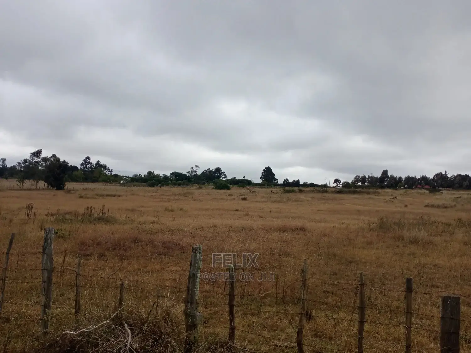 7.6 Acres Chaka/Lusoi