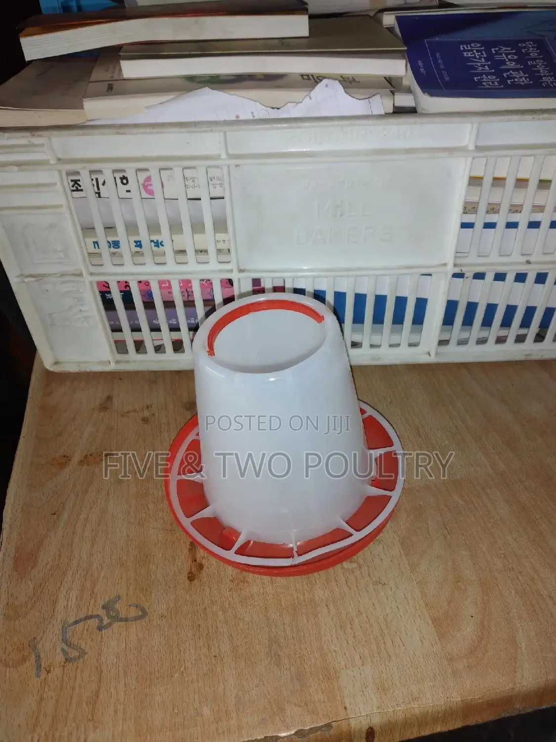 1kg Chicks Feeder