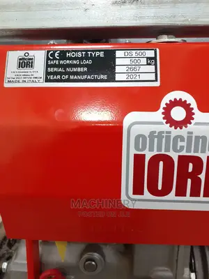 Iori 500kg Hoist/Crane