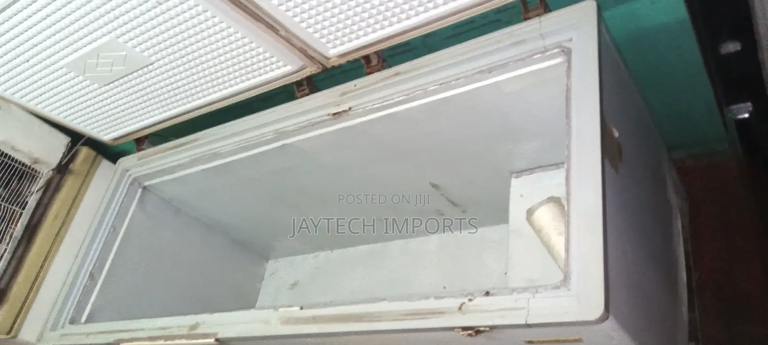Lassioue Deep Freezer