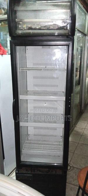 Digital Frogolex Fridge - thumbnail 2