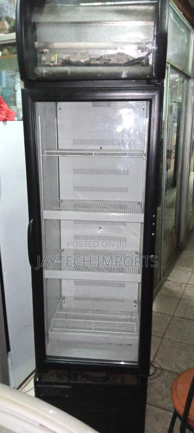 Digital Frogolex Fridge - main view