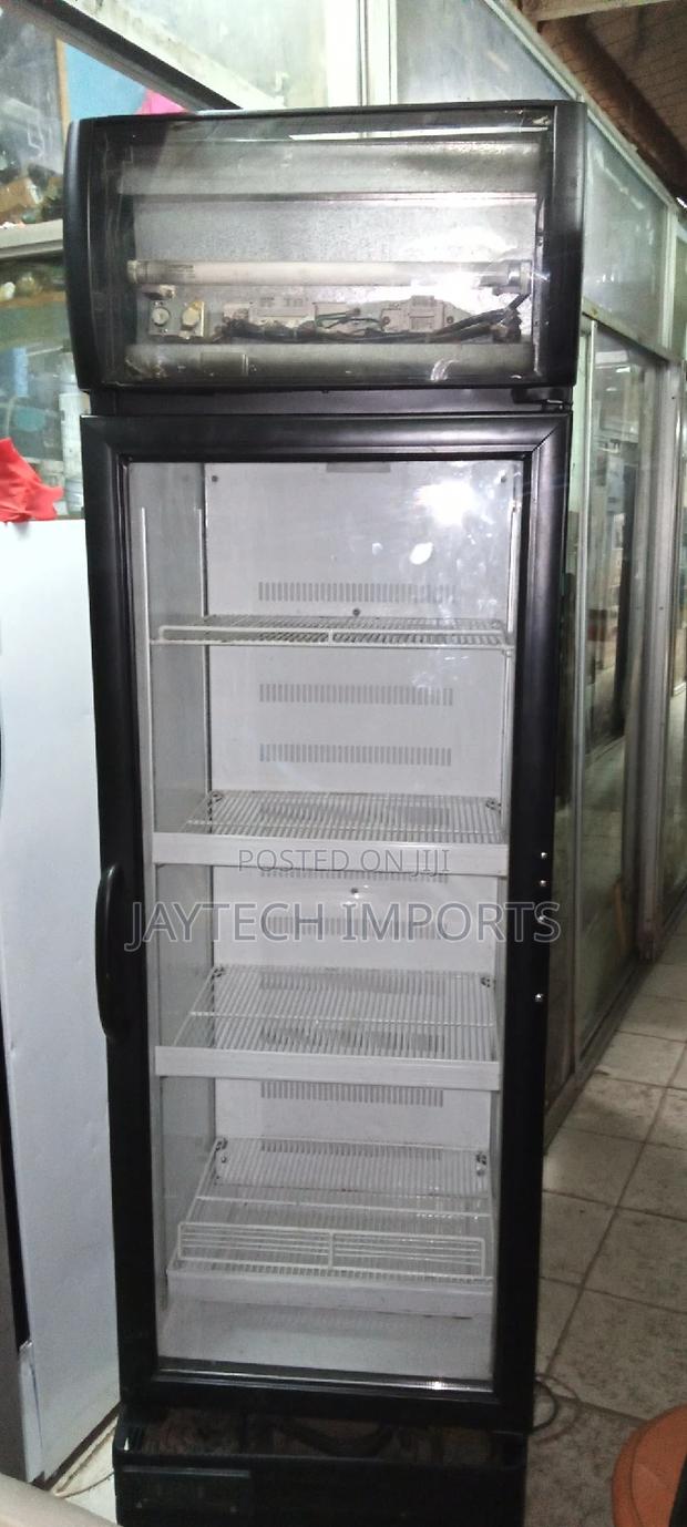 Digital Frogolex Fridge - thumbnail 3