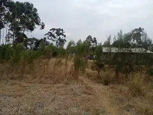 2acres Lusoi Kieni/Chaka