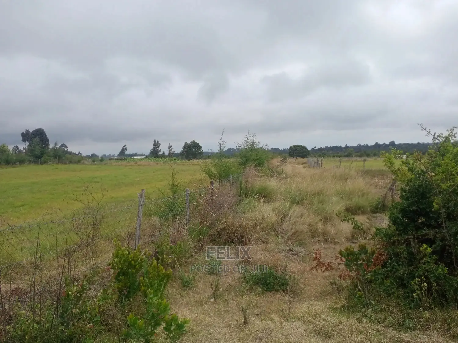2acres Lusoi Kieni/Chaka