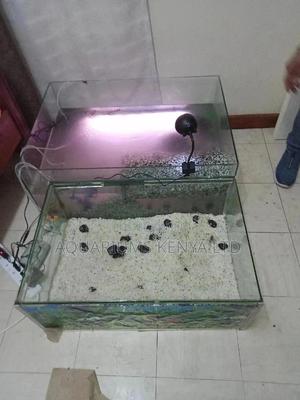 Custom Made Turtle, Terrapin Tanks - thumbnail 2