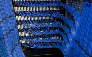 Networking Services