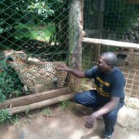 Timothy Maingi logo