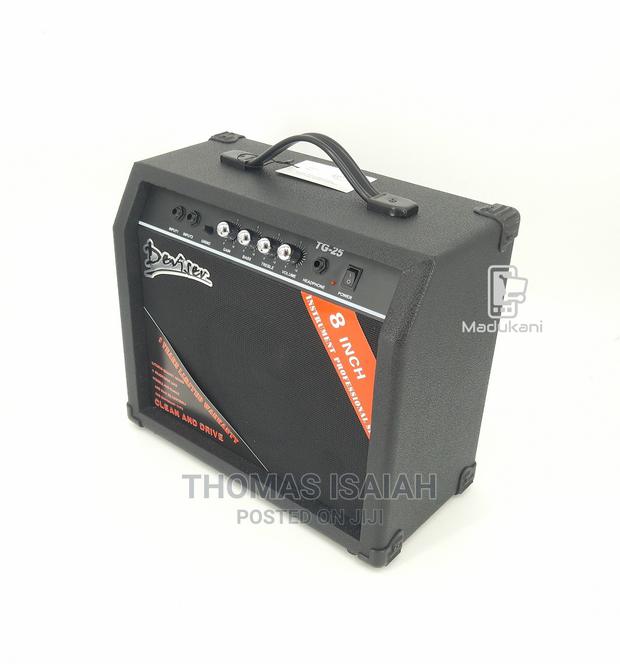 Deviser TG-25W 8-Inch Guitar Amplifier Combo - thumbnail 3