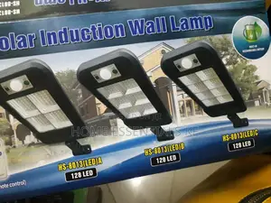 Solar Sensor Induction Wall Lamp