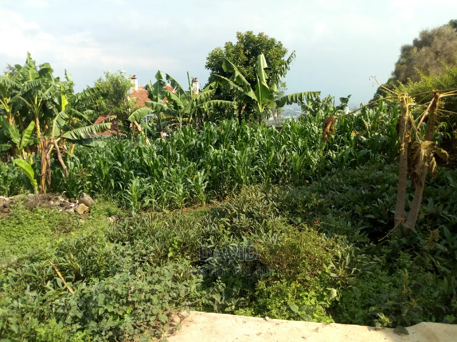 Plot for Sale in Milimani
