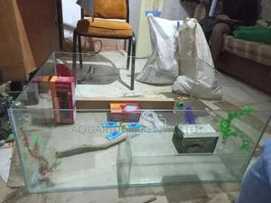 All Aquarium Accessories, Aquarium Tanks - thumbnail 2