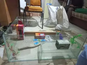 All Aquarium Accessories, Aquarium Tanks