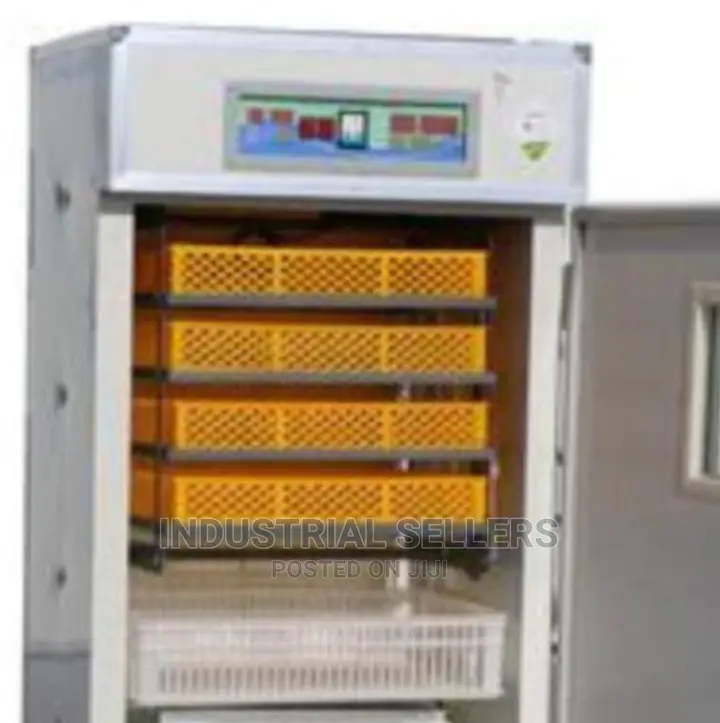 300 Eggs Incubator Machine