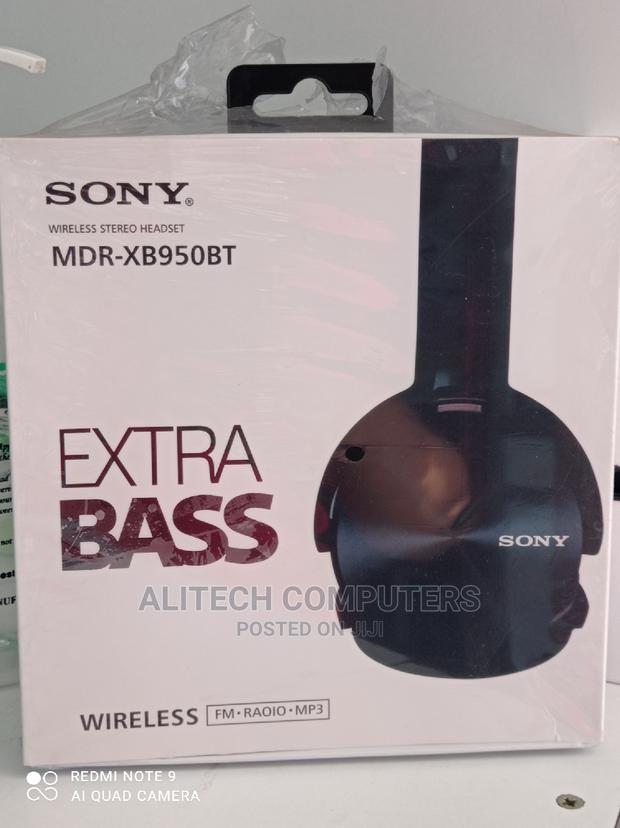 Sony Extra Bass Wireless Headphones - main view