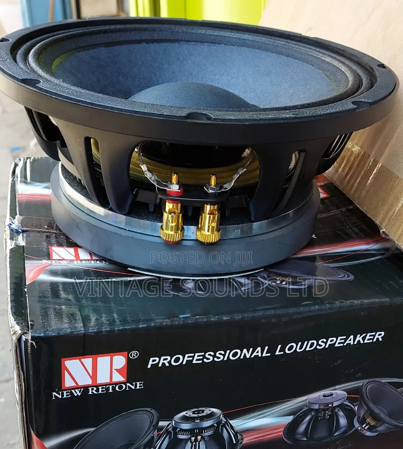 Professional Audio 10-Inch Mid 10-Inch Speaker