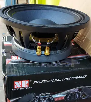 Professional Audio 10-Inch Mid 10-Inch Speaker