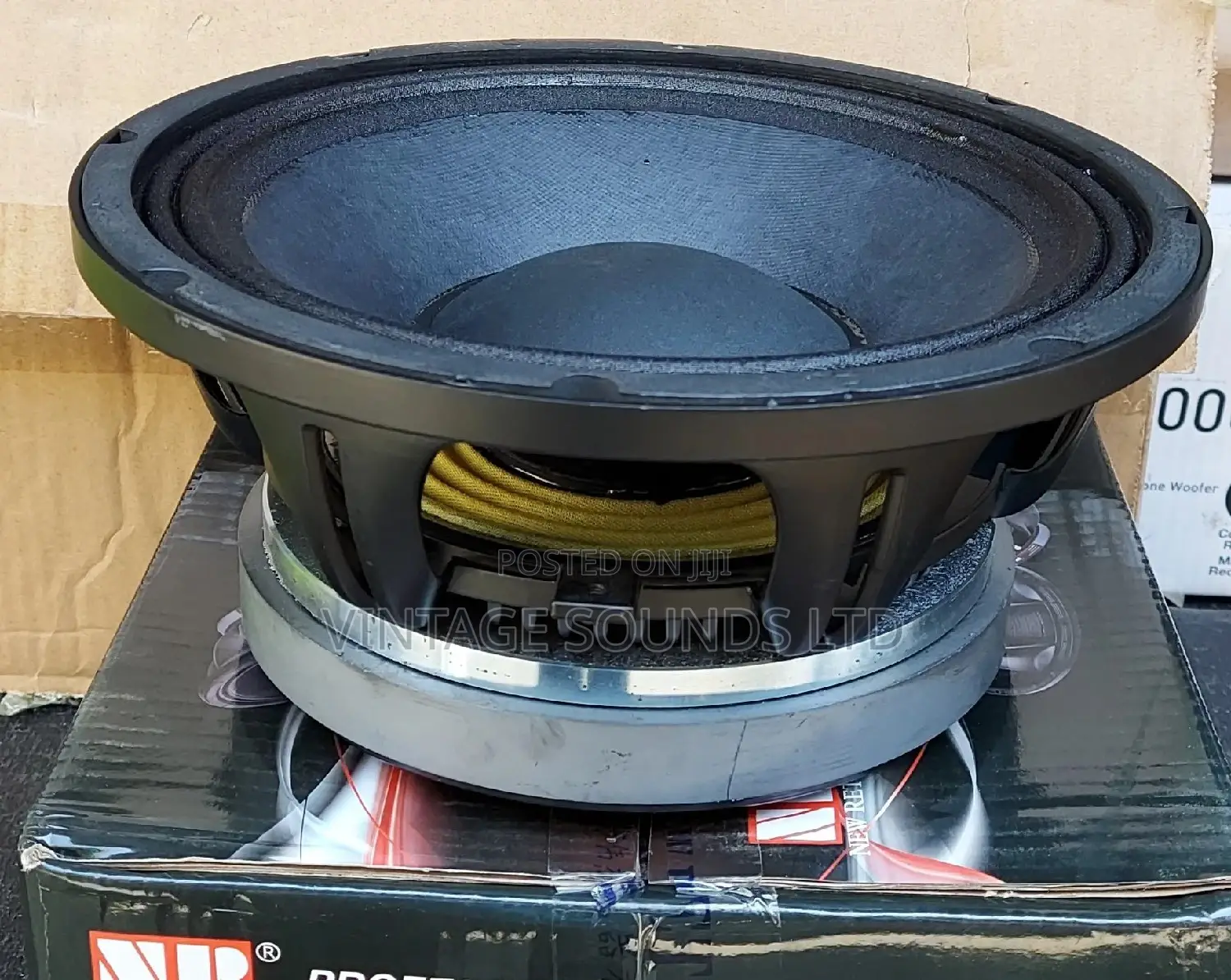 Professional Audio 10-Inch Mid 10-Inch Speaker