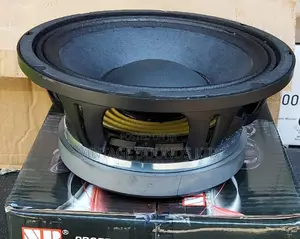 Professional Audio 10-Inch Mid 10-Inch Speaker