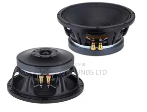 Professional Audio Video 10-Inch Midbass 10-Inch Speaker