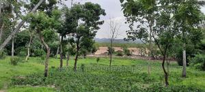 Mtwapa 2.2 Acres Creek Beach Plot on Sale. - thumbnail 2