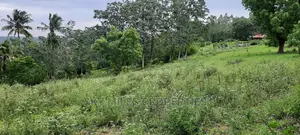 Mtwapa 2.2 Acres Creek Beach Plot on Sale.