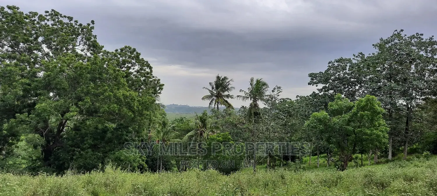 Mtwapa 2.2 Acres Creek Beach Plot on Sale.