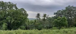 Mtwapa 2.2 Acres Creek Beach Plot on Sale.