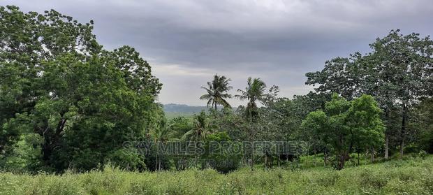 Mtwapa 2.2 Acres Creek Beach Plot on Sale. - thumbnail 6