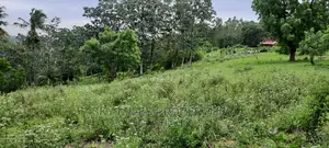 Mtwapa 2.2 Acres Creek Beach Plot on Sale.