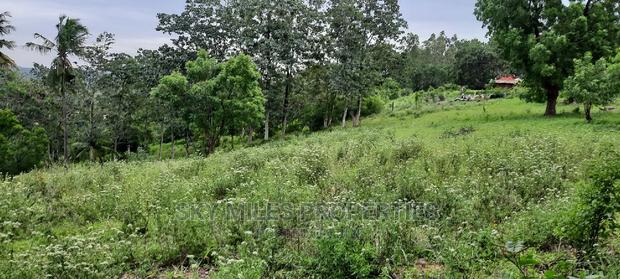 Mtwapa 2.2 Acres Creek Beach Plot on Sale. - thumbnail 5