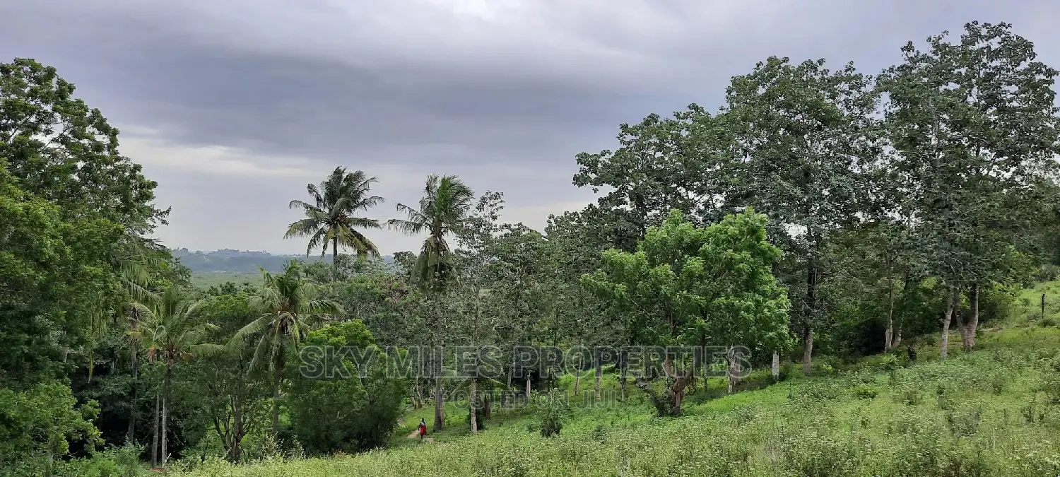Mtwapa 2.2 Acres Creek Beach Plot on Sale.