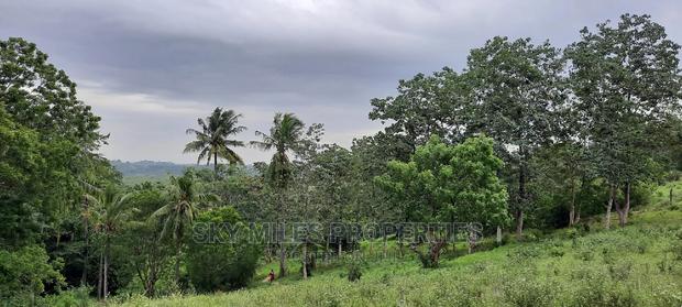 Mtwapa 2.2 Acres Creek Beach Plot on Sale. - thumbnail 8