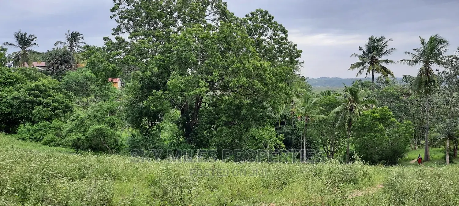 Mtwapa 2.2 Acres Creek Beach Plot on Sale.